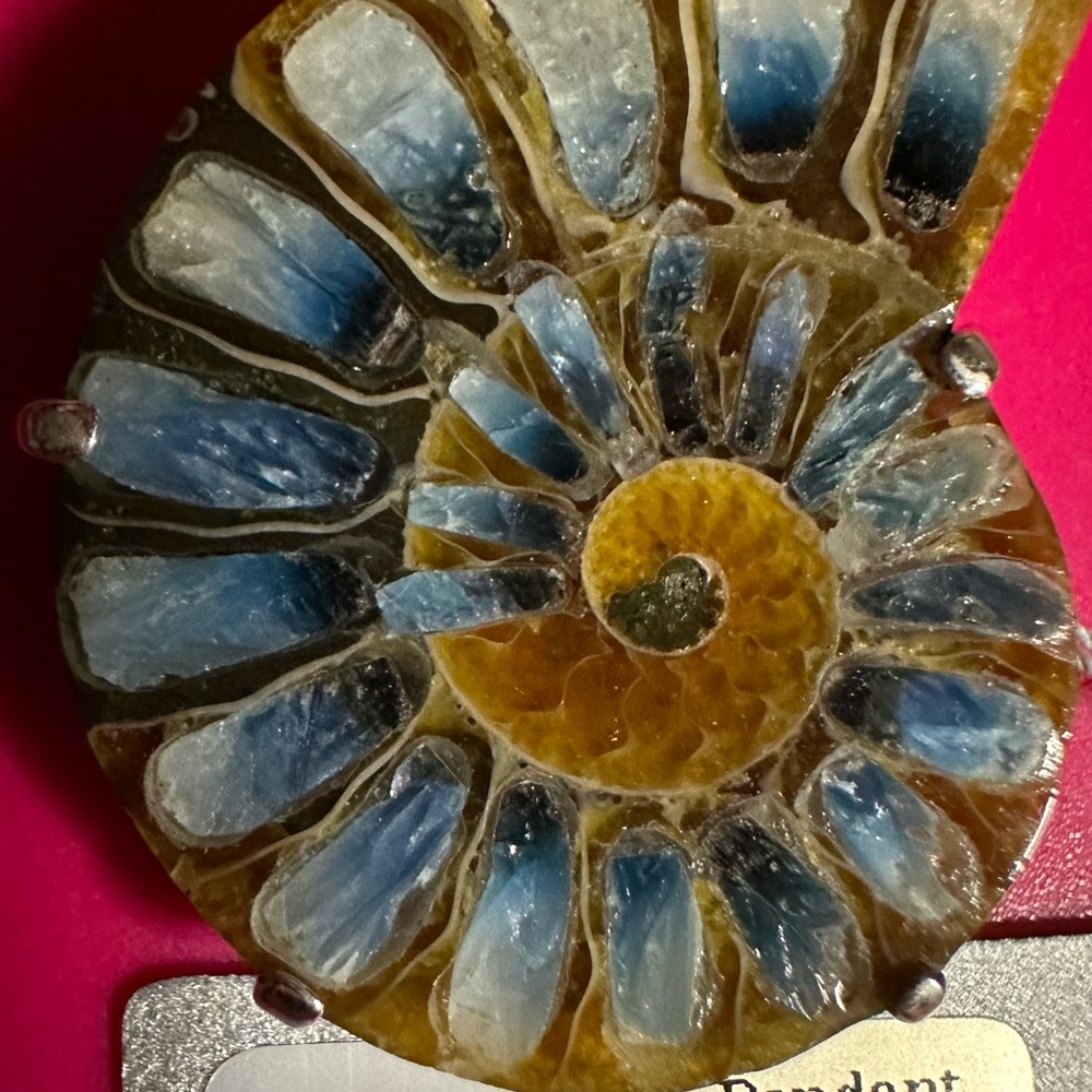 $SOLD$ Sterling Silver Pendant Blue Topaz Ammonite (Fossil)